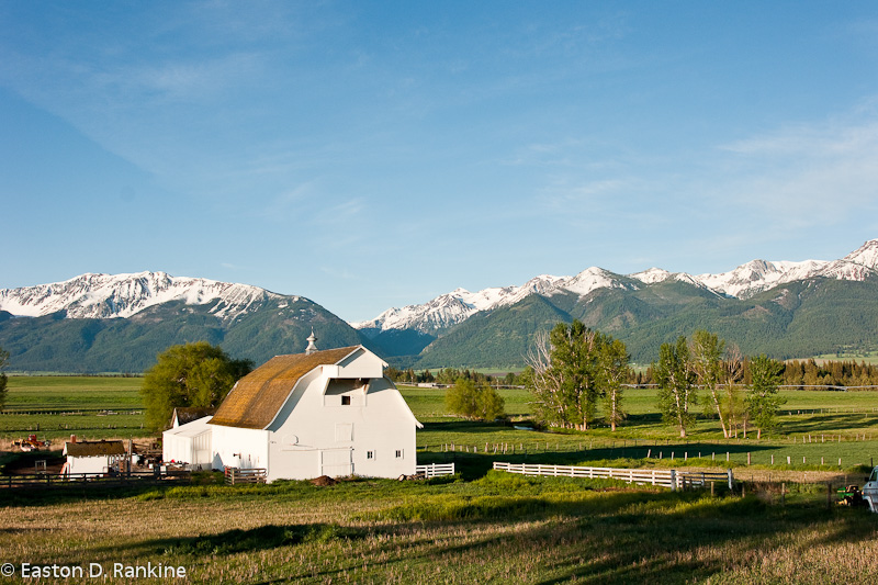 White Barn