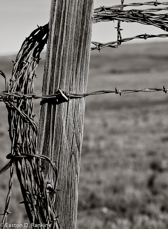 Range Wire