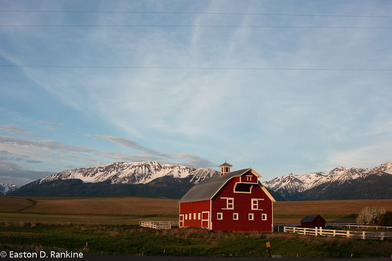Red Barn in Morning Light