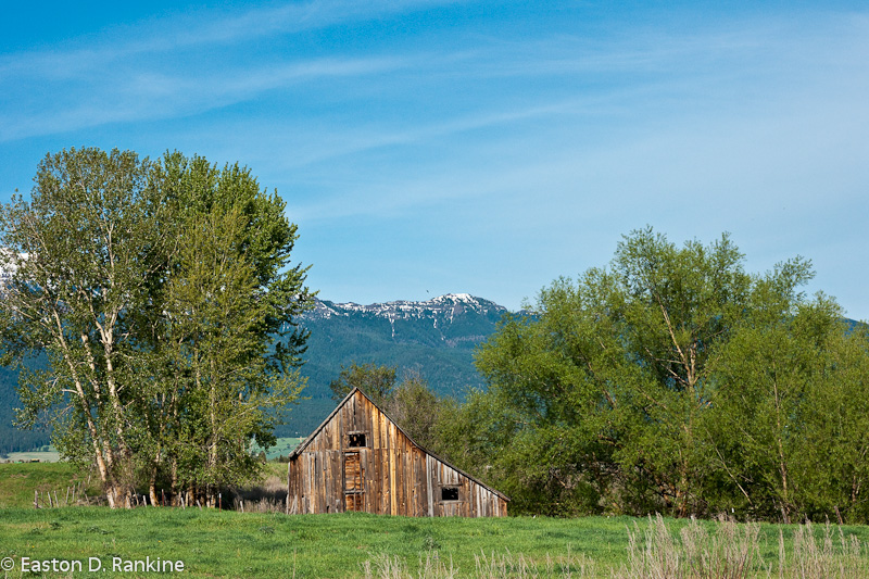 Barn