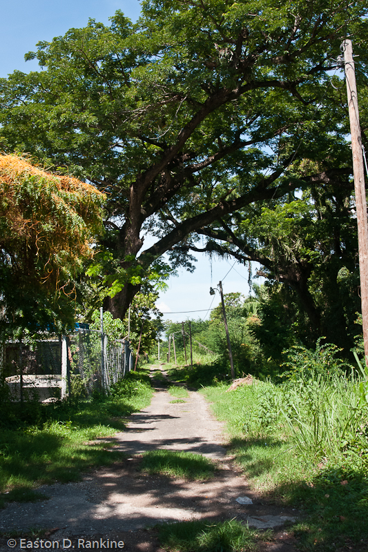 Foot Path