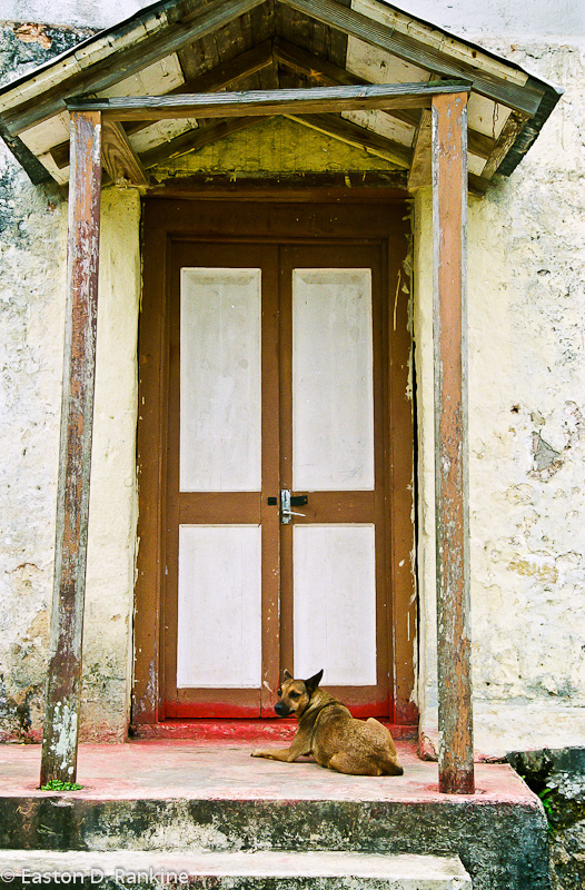 Red Sill and Dog - Accompong