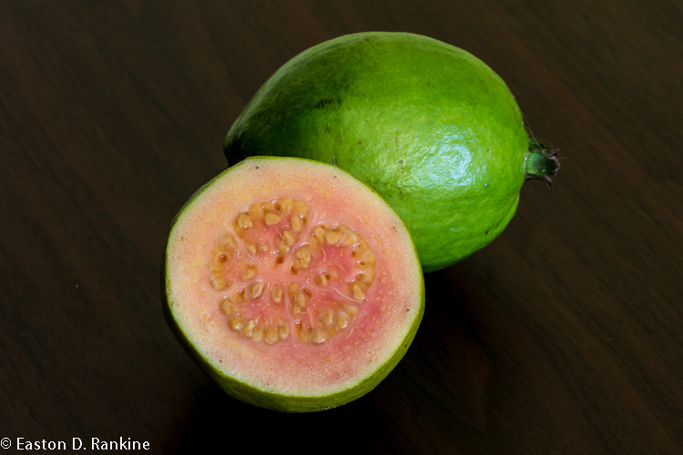 Guava