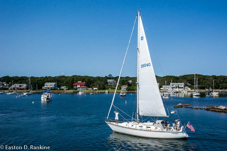_DSC3072.jpg