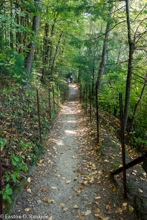 _DSC3354.jpg