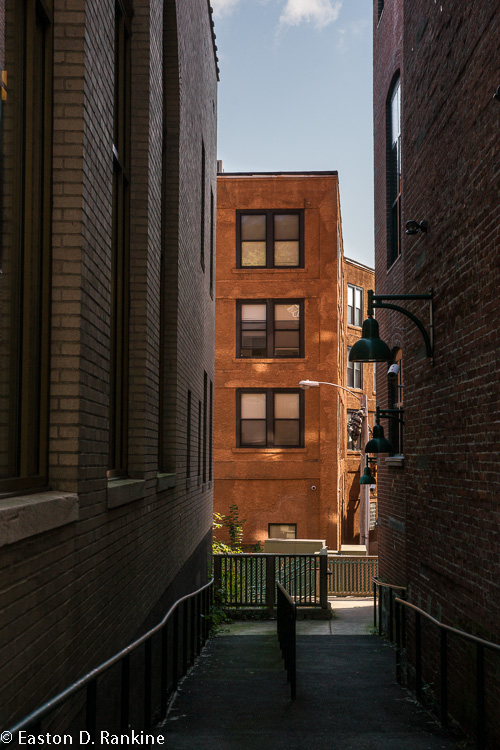 _DSC3638.jpg