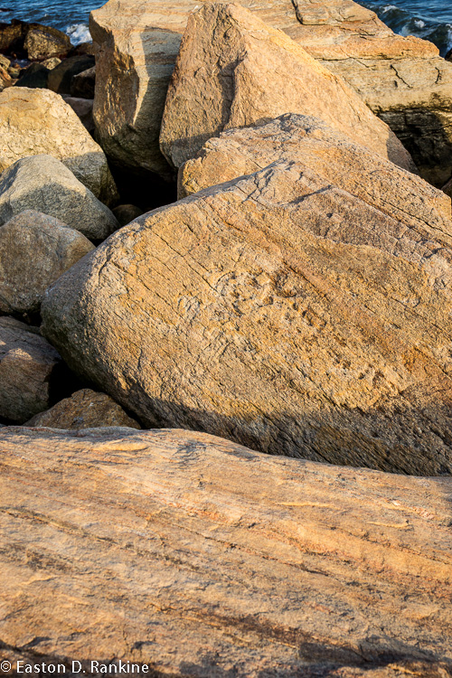 _DSC3798.jpg