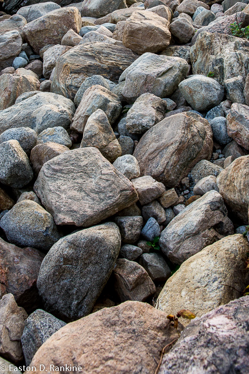 _DSC3804.jpg