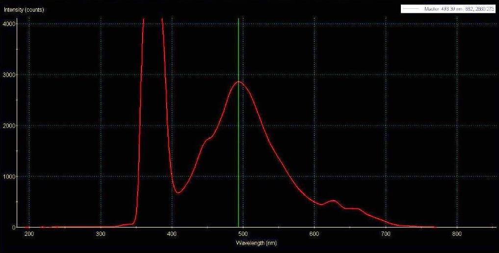 white egg fluorescence k.jpg
