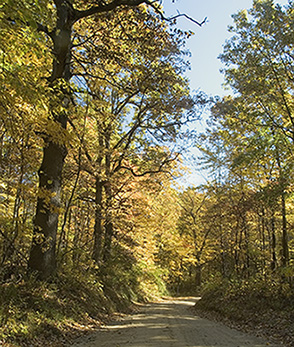 Road in Waterloo