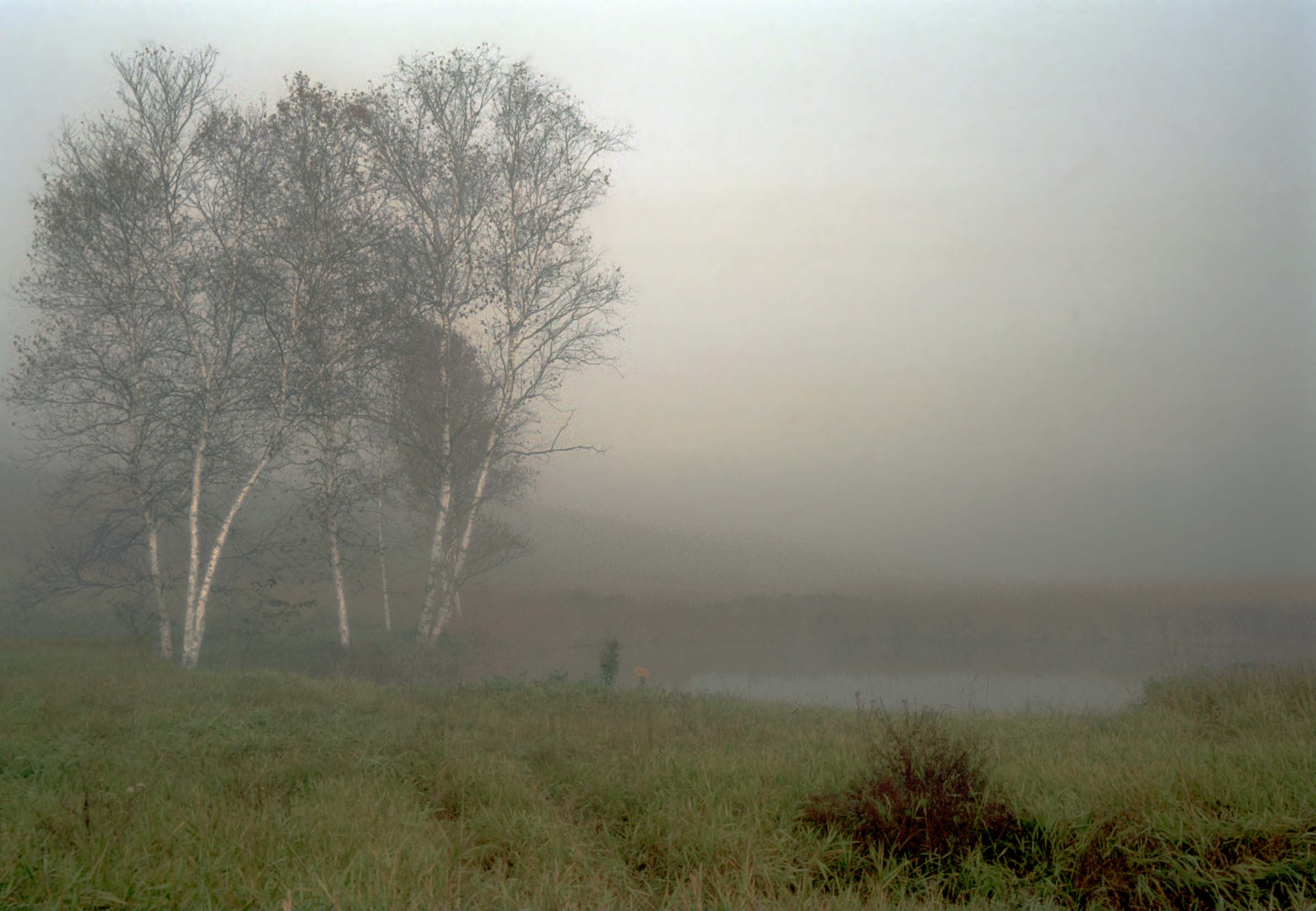 Misty Pond
