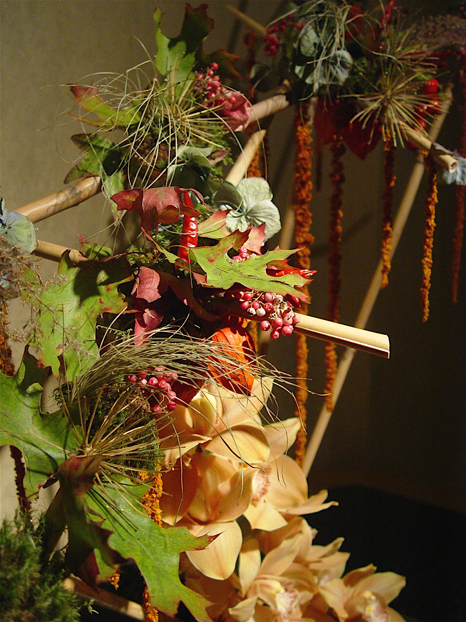 fall 2007 type C (close up)