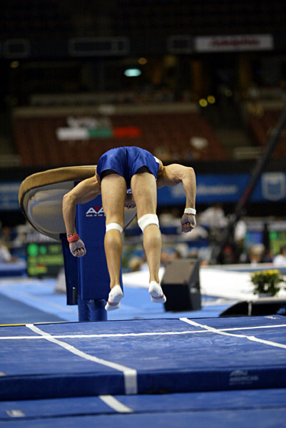 230042ca_gymnastics.jpg