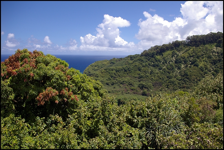 On the road to Hana