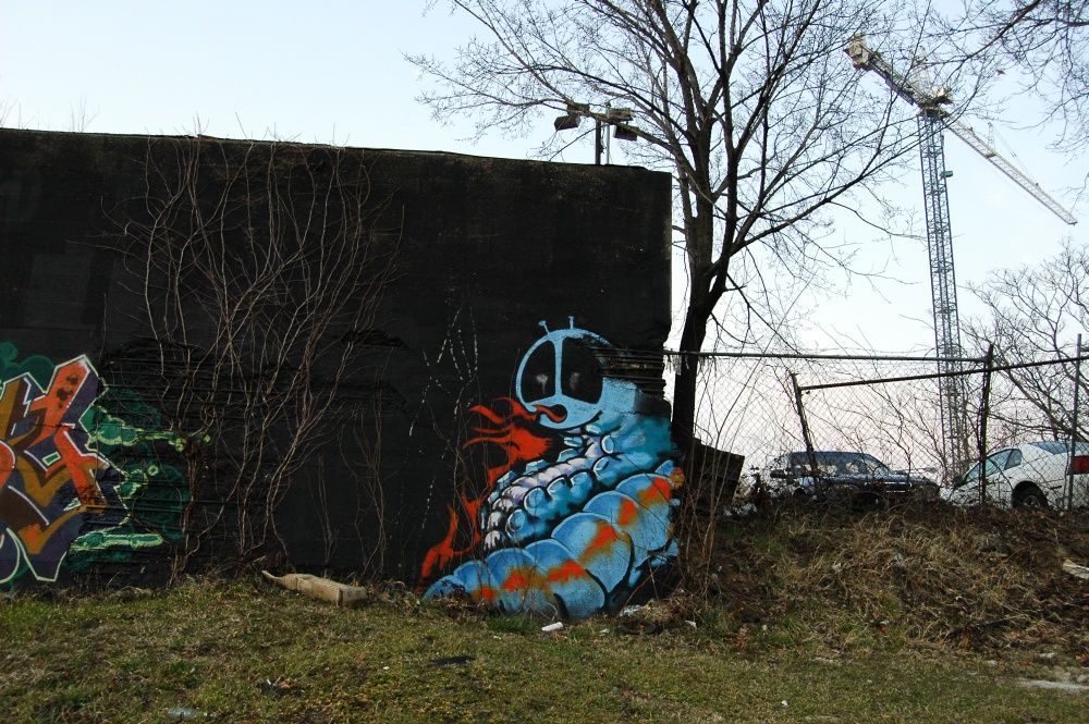 DSC_0907.JPG
