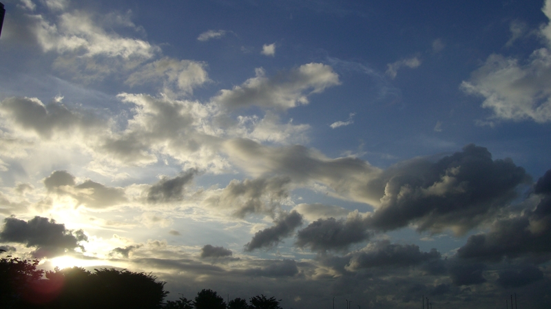 CIMG3937.resized.JPG
