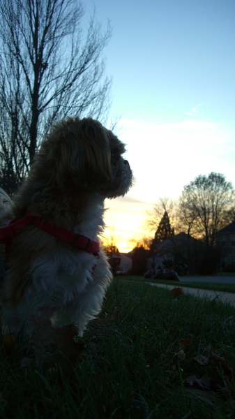 Around the Homestead