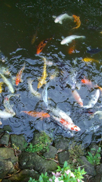 Jeju-Do