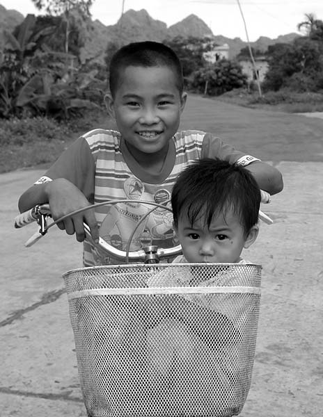 bike basket.jpg