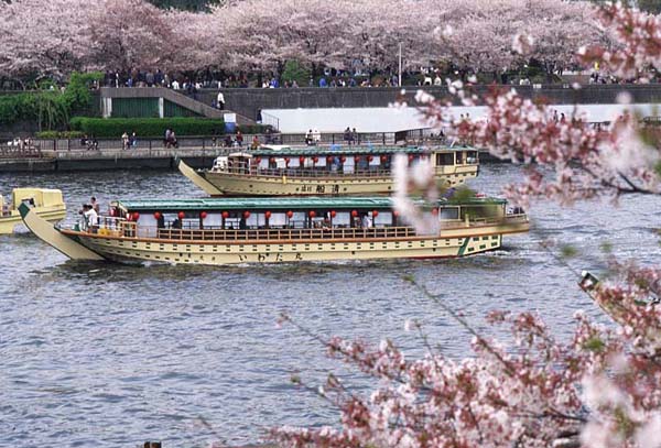 sumida river.jpg