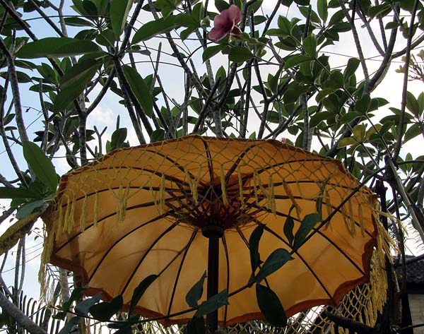 yellow umbrella.jpg