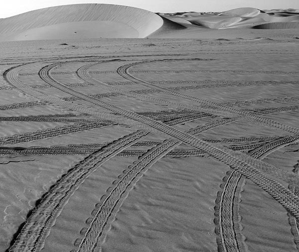 tracks in the sand.jpg