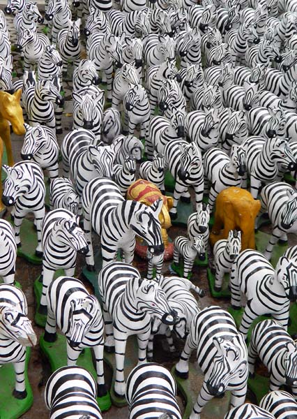 mostly zebras.jpg