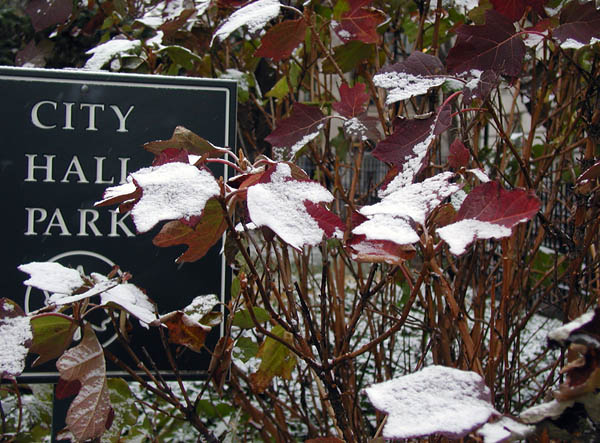 city hall park.jpg