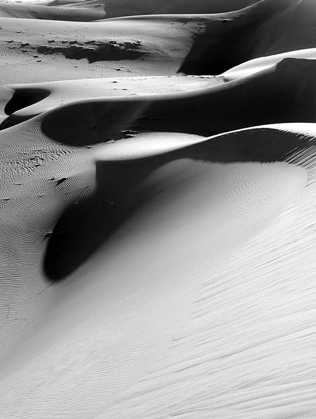 Dunes277.jpg