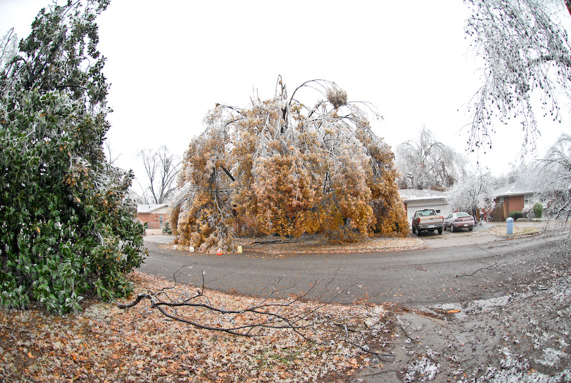December 10 2007