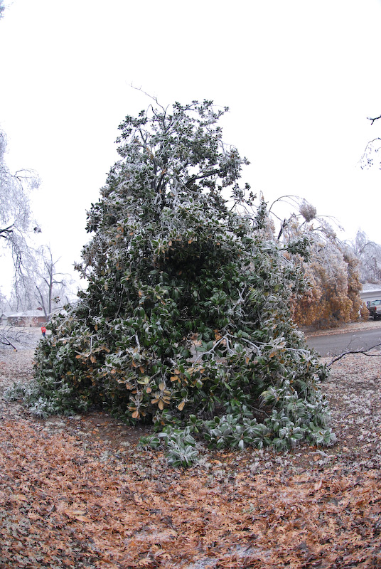 DSC_6041.jpg