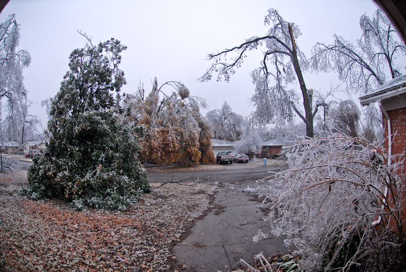 DSC_6044.jpg