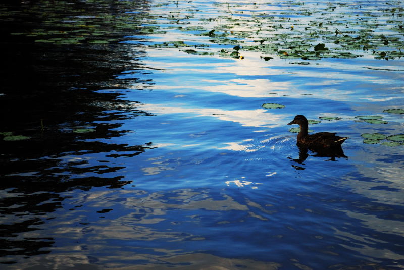 Lake Gladewater, 9-30-2008 (#2)