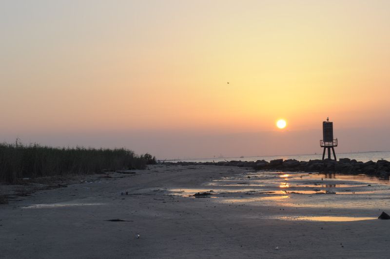 20100710_201239_nbs_d5000)