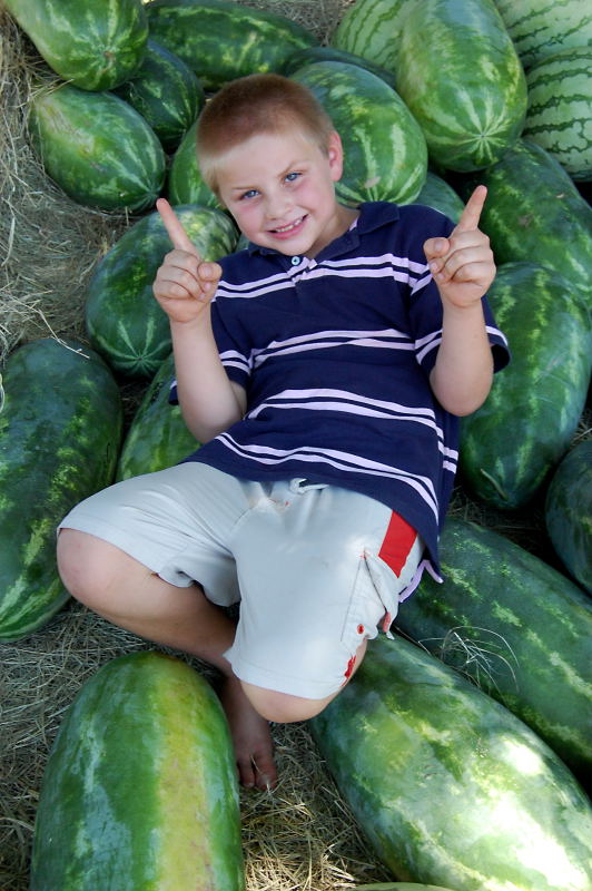(20100801_154151_nl_b_d40)