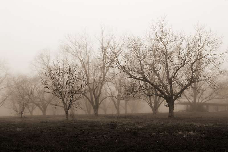 20111229_091031_rj_c_d60_rz.jpg