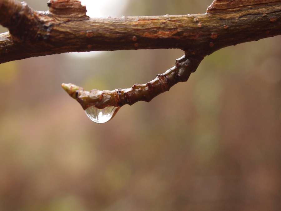 (20120213_154800_sf_epl1)
