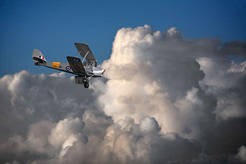 Tiger Moth