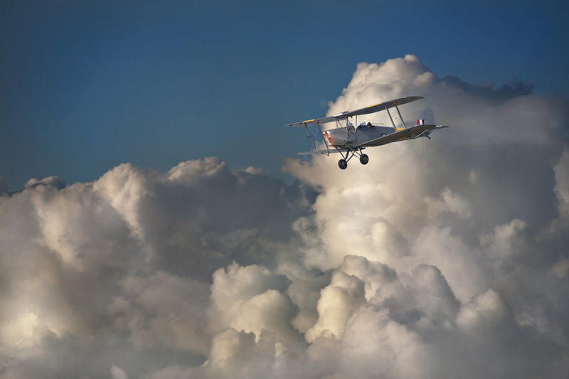 Tiger Moth 2