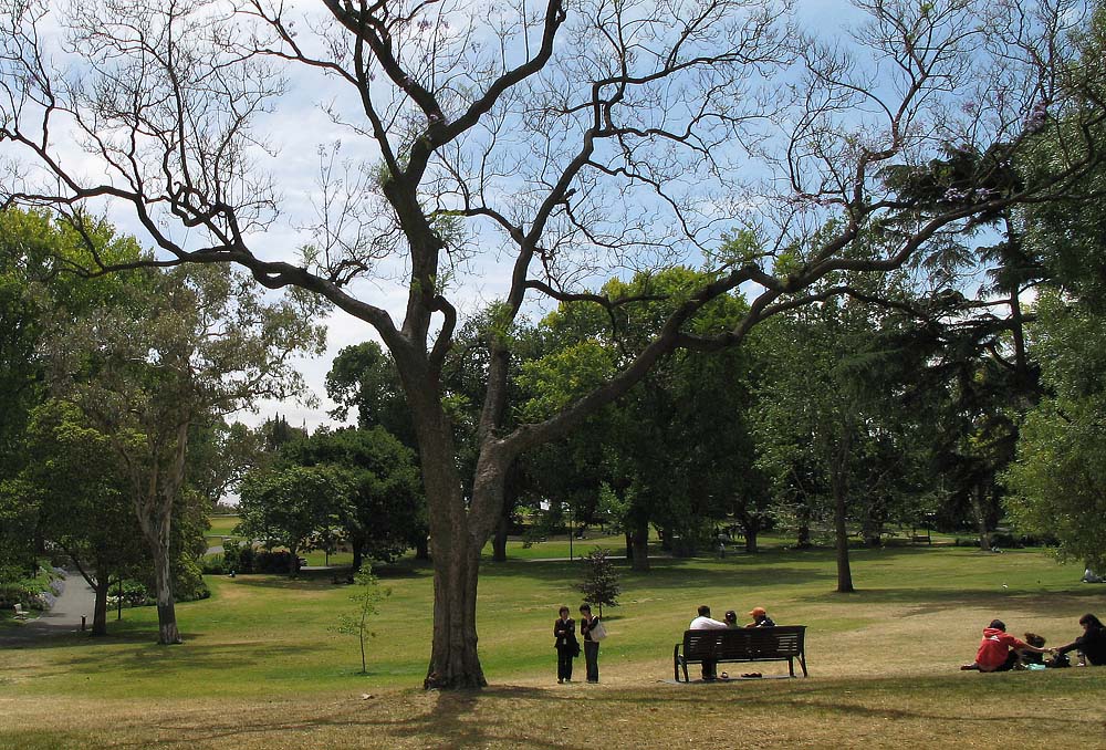 Flagstaff Garden