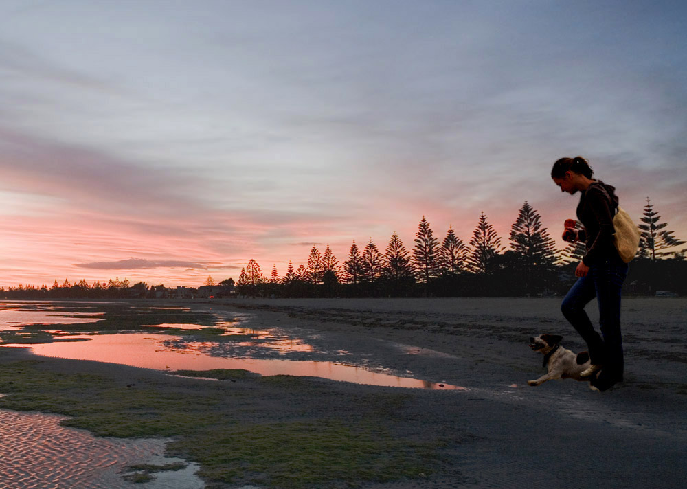 Walkin the Dog