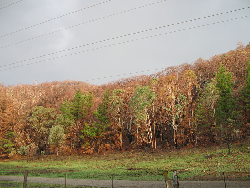 Bushfires 2006/7