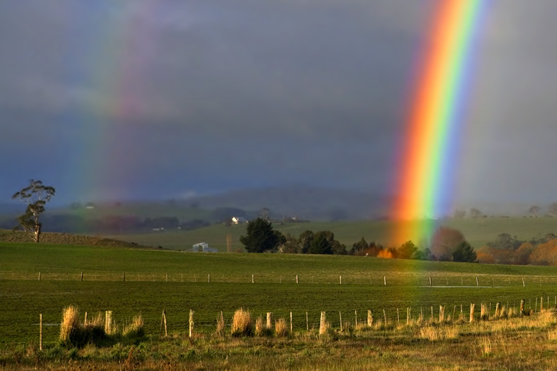 Rainbow