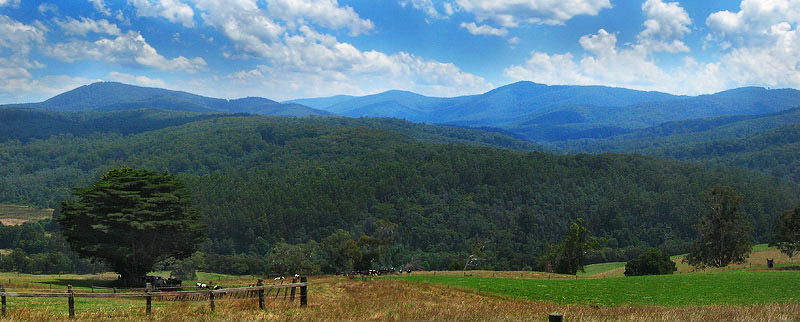 Warragul.jpg