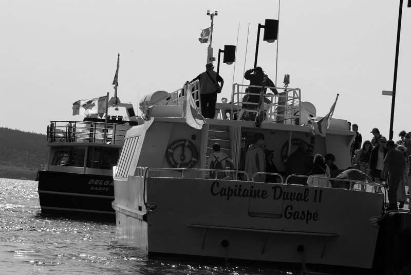 La Partida/ Departure of touristic boats