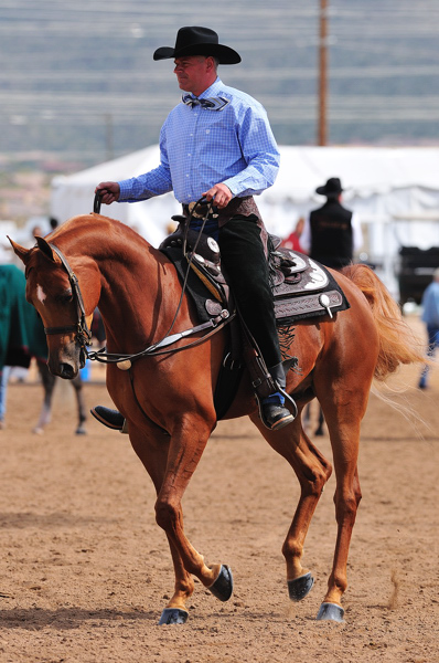 Scottsdale Arabian Horse Show