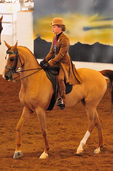 Scottsdale Arabian Horse Show