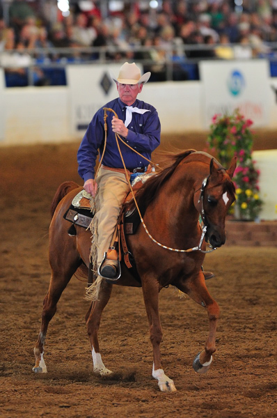 Scottsdale Arabian Horse Show