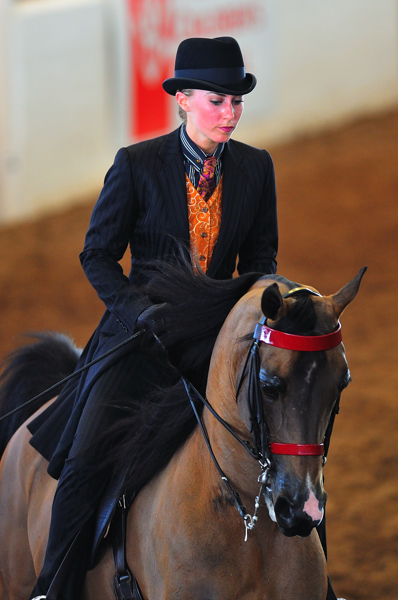 Scottsdale Arabian Horse Show