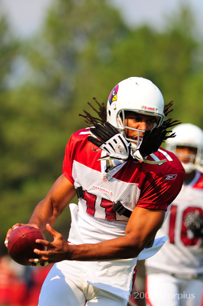 Arizona Cardinals